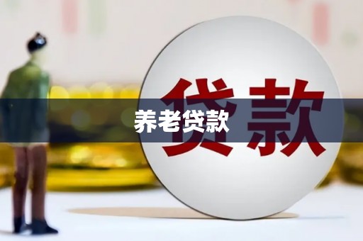 望奎养老贷款