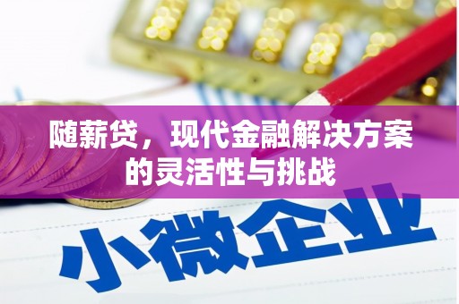 望奎随薪贷，现代金融解决方案的灵活性与挑战