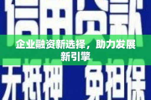 望奎企业融资新选择，助力发展新引擎