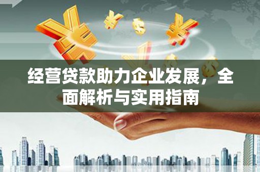 望奎经营贷款助力企业发展，全面解析与实用指南