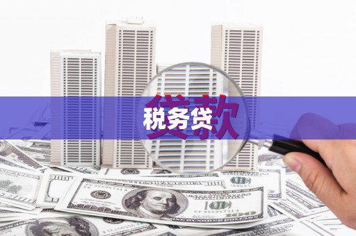 望奎税务贷