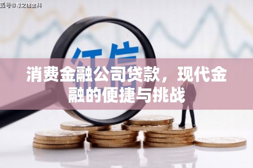 望奎消费金融公司贷款，现代金融的便捷与挑战