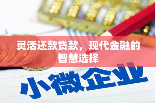 望奎灵活还款贷款，现代金融的智慧选择
