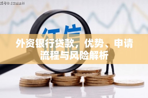 望奎外资银行贷款，优势、申请流程与风险解析