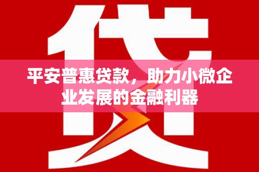 望奎平安普惠贷款，助力小微企业发展的金融利器
