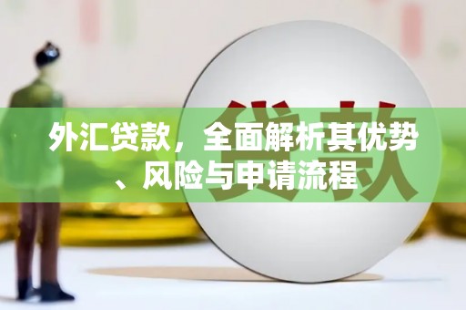望奎外汇贷款，全面解析其优势、风险与申请流程