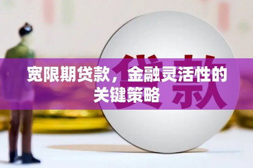 望奎宽限期贷款，金融灵活性的关键策略
