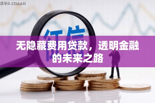 望奎无隐藏费用贷款，透明金融的未来之路
