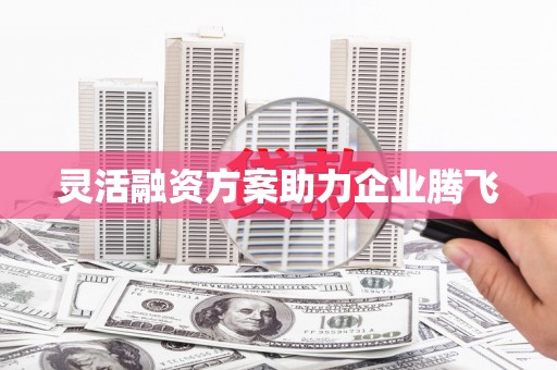 望奎灵活融资方案助力企业腾飞