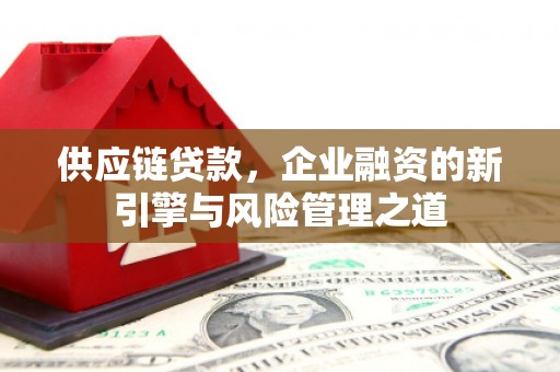 望奎供应链贷款，企业融资的新引擎与风险管理之道