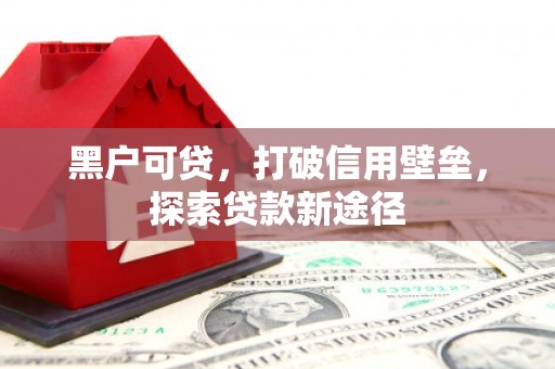 望奎黑户可贷，打破信用壁垒，探索贷款新途径