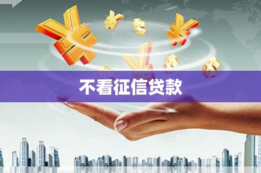 望奎不看征信贷款