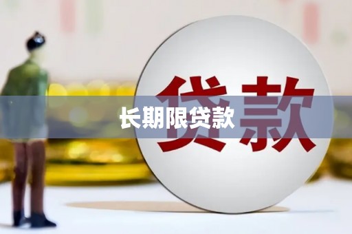 望奎长期限贷款