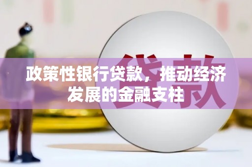 望奎政策性银行贷款，推动经济发展的金融支柱