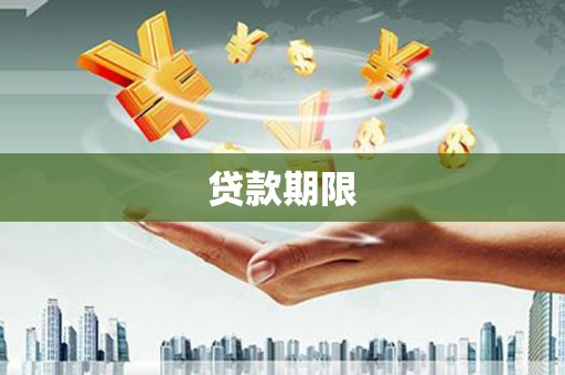 望奎贷款期限
