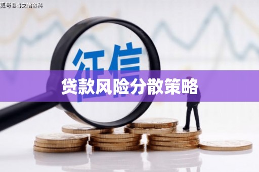 望奎贷款风险分散策略
