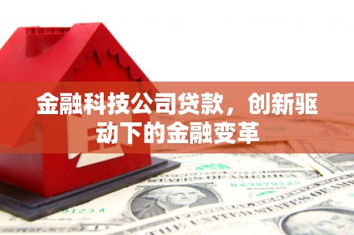 望奎金融科技公司贷款，创新驱动下的金融变革