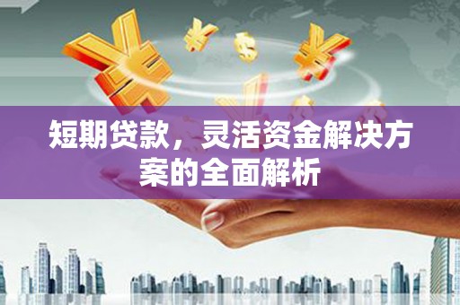 望奎短期贷款，灵活资金解决方案的全面解析