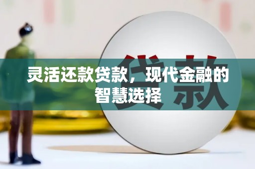 望奎灵活还款贷款，现代金融的智慧选择