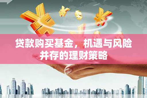 望奎贷款购买基金，机遇与风险并存的理财策略