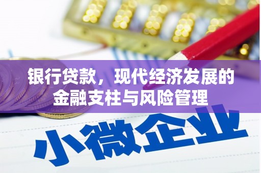 望奎银行贷款，现代经济发展的金融支柱与风险管理