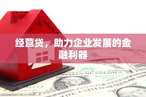 望奎经营贷，助力企业发展的金融利器
