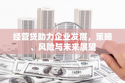 望奎经营贷助力企业发展，策略、风险与未来展望