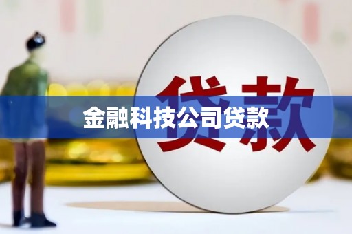 望奎金融科技公司贷款