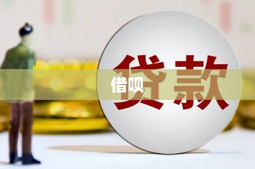 望奎借呗