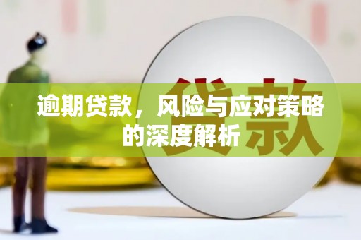 望奎逾期贷款，风险与应对策略的深度解析