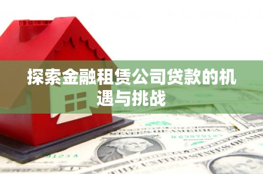望奎探索金融租赁公司贷款的机遇与挑战