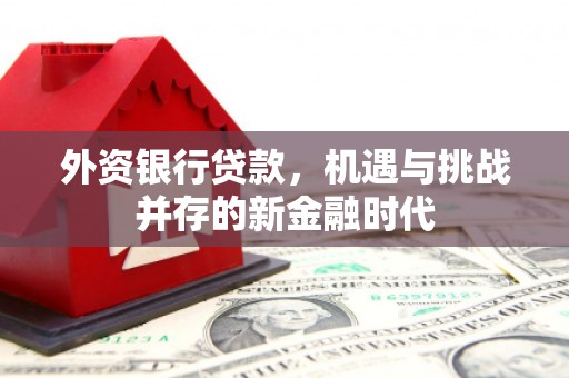 望奎外资银行贷款，机遇与挑战并存的新金融时代