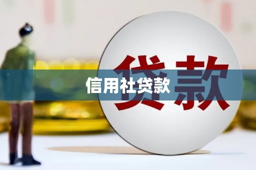 望奎信用社贷款