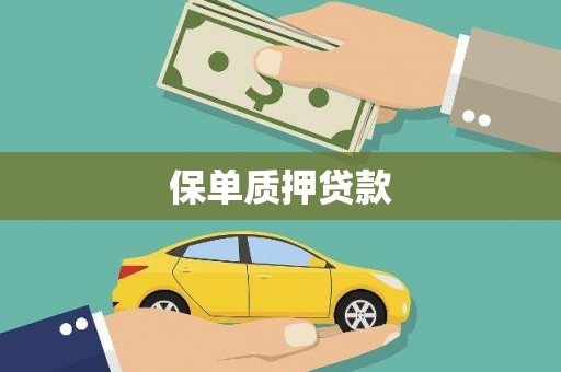 望奎保单质押贷款