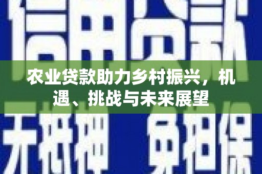 望奎农业贷款助力乡村振兴，机遇、挑战与未来展望