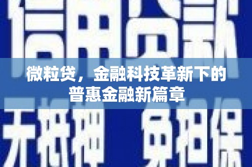 望奎微粒贷，金融科技革新下的普惠金融新篇章