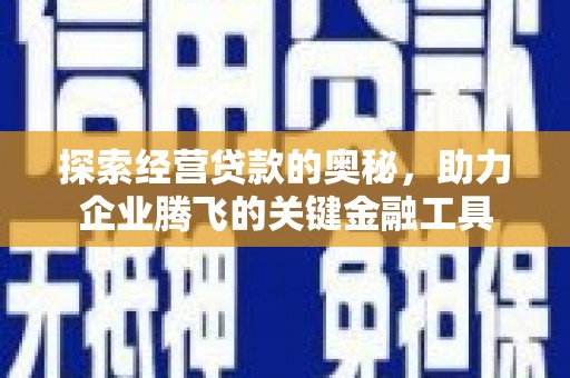 望奎探索经营贷款的奥秘，助力企业腾飞的关键金融工具