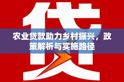 望奎农业贷款助力乡村振兴，政策解析与实施路径