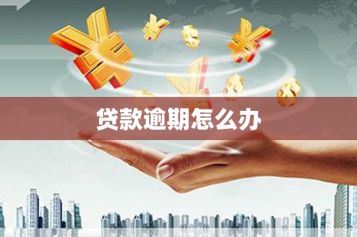 望奎贷款逾期怎么办