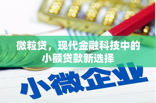 望奎微粒贷，现代金融科技中的小额贷款新选择