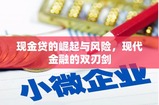 望奎现金贷的崛起与风险，现代金融的双刃剑
