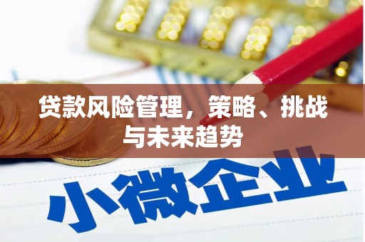 望奎贷款风险管理，策略、挑战与未来趋势