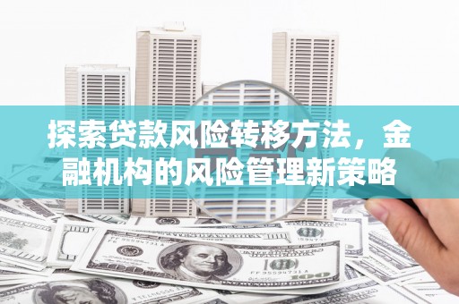 望奎探索贷款风险转移方法，金融机构的风险管理新策略