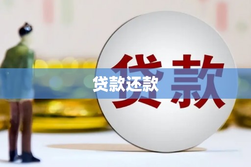 望奎贷款还款