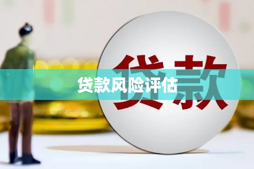 望奎贷款风险评估