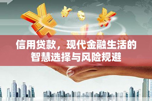 望奎信用贷款，现代金融生活的智慧选择与风险规避
