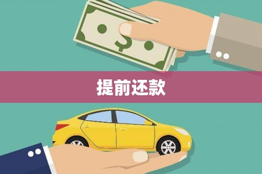 望奎提前还款