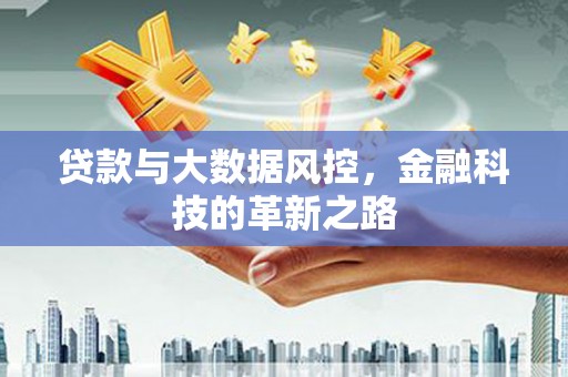 望奎贷款与大数据风控，金融科技的革新之路