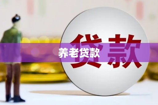 望奎养老贷款