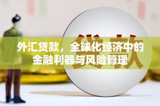 望奎外汇贷款，全球化经济中的金融利器与风险管理